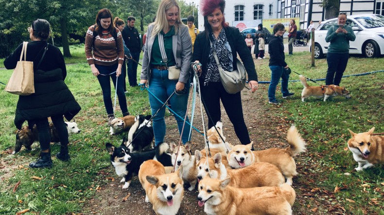 Honderd hondenbaasjes doen mee aan nationale Corgiwandeling in Domein Bovy ter ere van de Queen